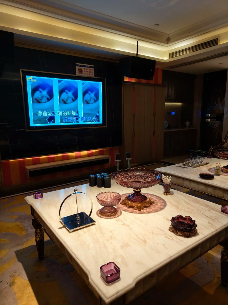 潍坊商务ktv有没有？-寿光市ktv预订